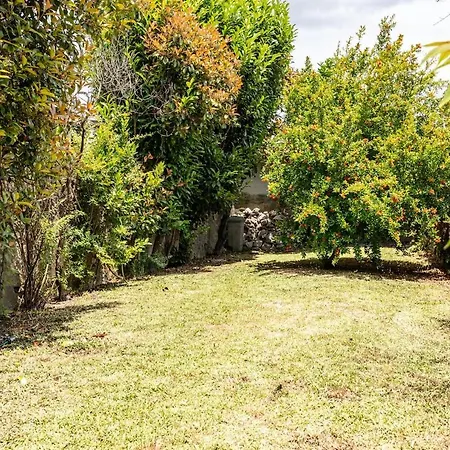 Cozy With Private Garden - A Peaceful Retreat Πόρτο